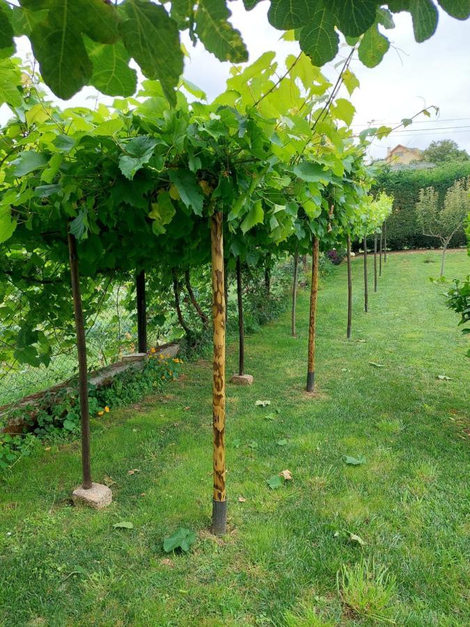 Caseton Do Forno. Lourenza Εξωτερικό φωτογραφία